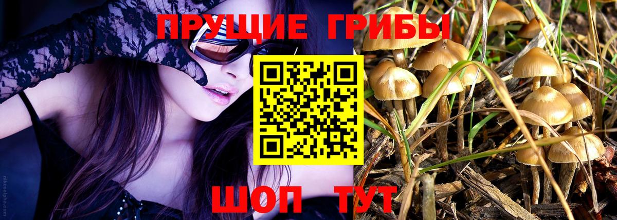 Коркино  Галлюциногенные грибы Psilocybine cubensis  Галлюциногенные грибы Psilocybe  Вход с VPN 