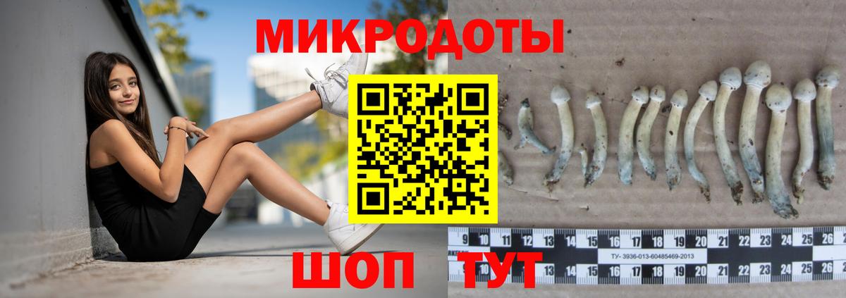 Меф   Коркино  КОКАИН  ГАШ  Вход с VPN  Конопля  A-PVP СОЛЬ  